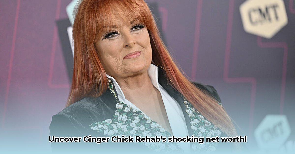 ginger-chick-rehab-net-worth